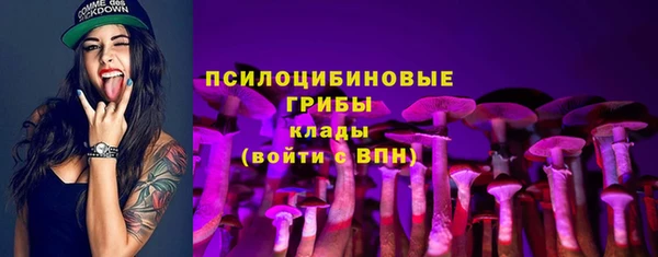 амфетамин Алексеевка