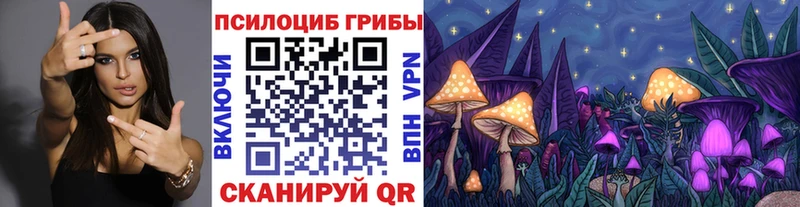 Псилоцибиновые грибы MAGIC MUSHROOMS  купить  сайты  Поронайск 